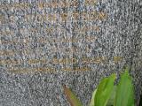 image of grave number 772240